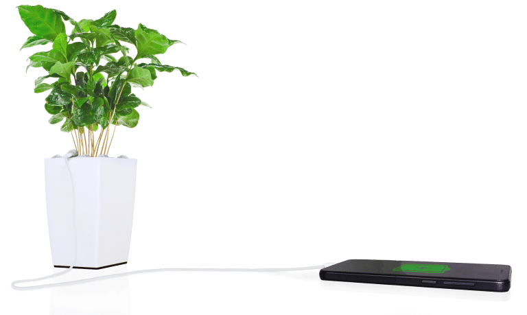 Bioo lite : le chargeur utra-écolo