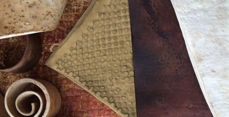 Cuir biodégradable : fabriqué à base de champignons