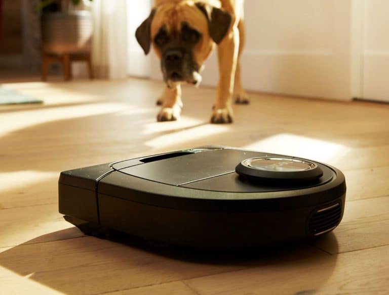 Neato Botvac D3, l’aspirateur 2.0 pour avoir un intérieur impecc