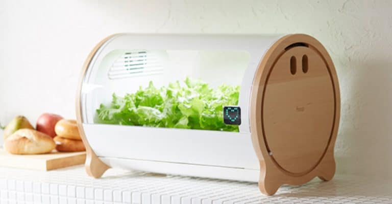 Foop, le potager d&rsquo;intérieur ultra mignon et connecté
