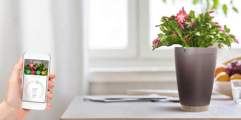 Parrot Pot, le plus intelligent des pots de fleur