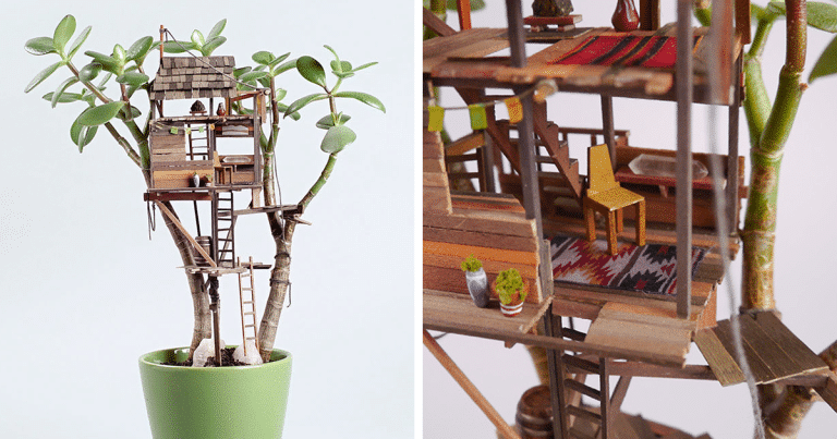 Somewhere small : les cabanes en miniature perchées sur les plantes d&rsquo;intérieur