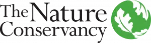 L’IA à la protection des océans avec The Nature Conservancy