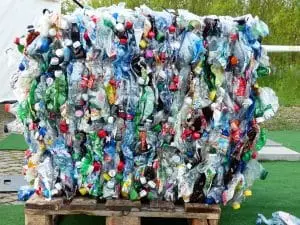 Des larves pour recycler les sacs en plastique