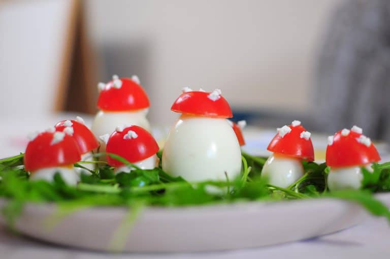 Feed : Pour une alimentation nutritionnellement parfaite