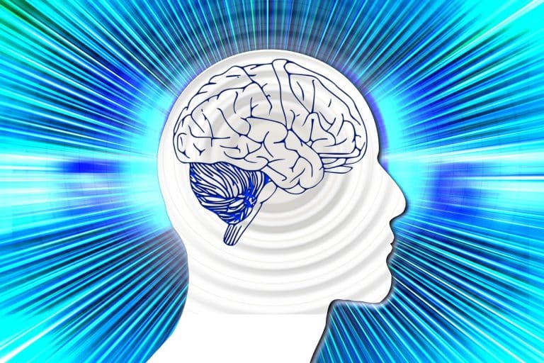 NeuroCommTrainer : communiquer avec des personnes en état végétatif