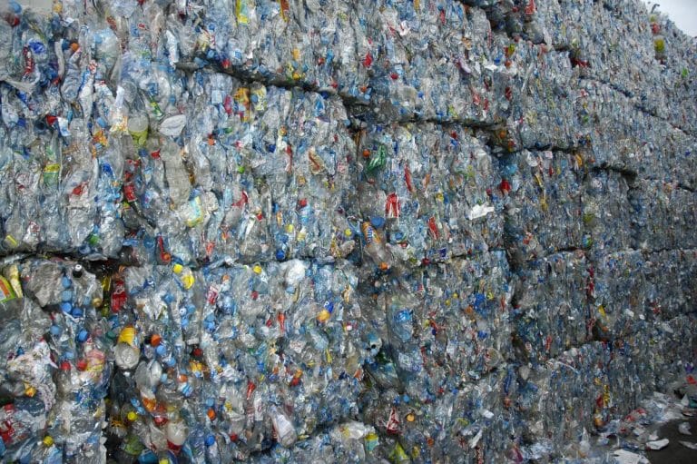 Ces startups qui aident à réduire les effets néfastes du plastique