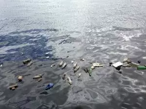 Un colorant fluorescent pour identifier les microplastiques dans l’eau de mer