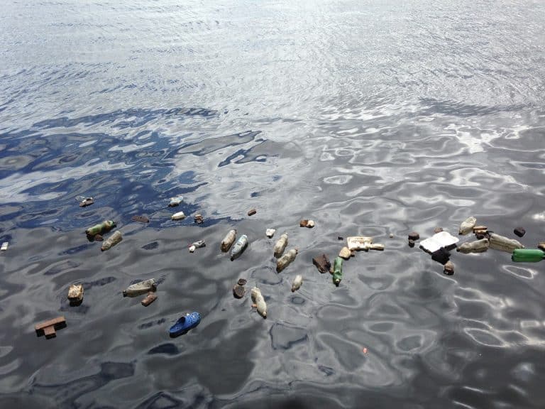Un colorant fluorescent pour identifier les microplastiques dans l&rsquo;eau de mer