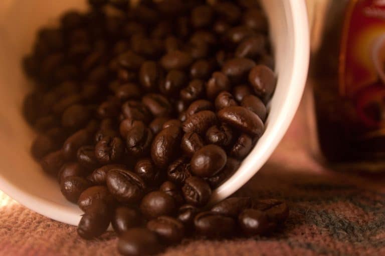 Des barres de café comestibles en cas d’urgence
