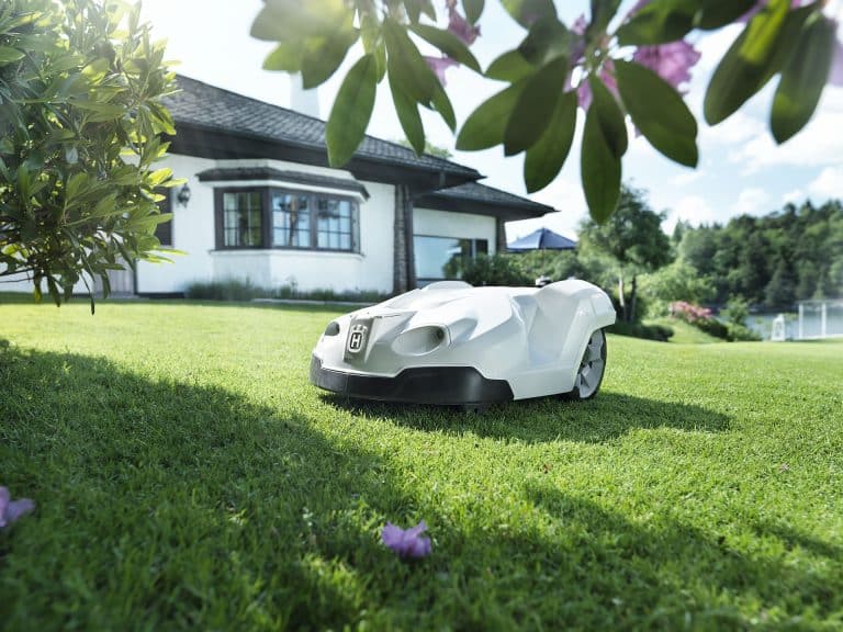 Le robot de jardin solaire arrose les plantes et effraie les nuisibles