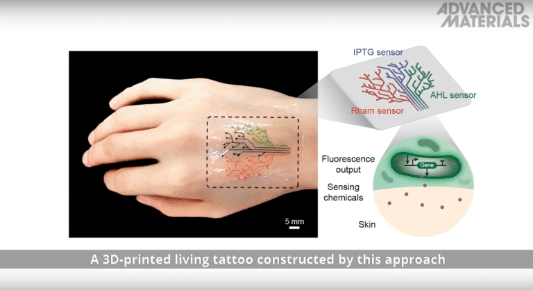 Impression 3D avec des cellules vivantes programmées génétiquement