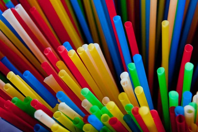 Des pailles en algues compostables comestibles après utilisation