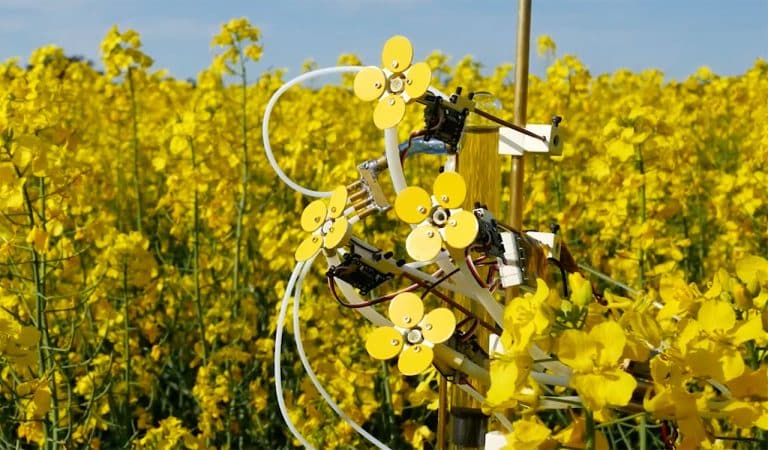 Fleurs robotisées : une nouvelle façon de protéger les abeilles ?