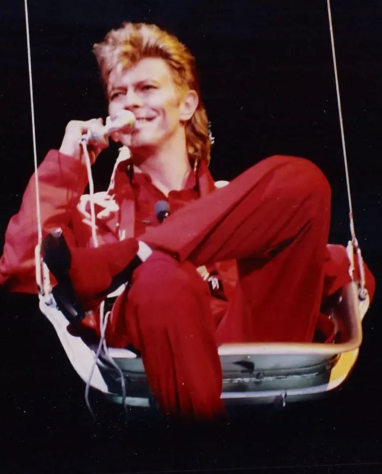 david