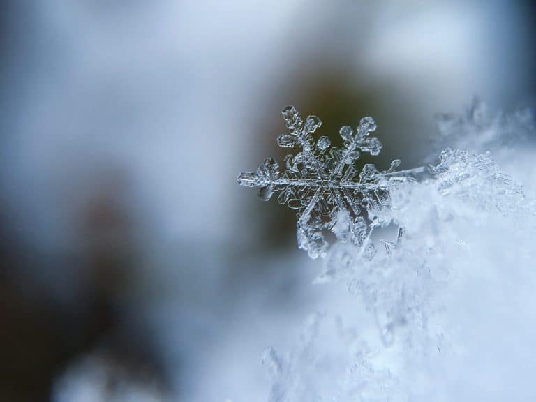 Prédire le temps grâce à une simulation 3D de flocons de neige