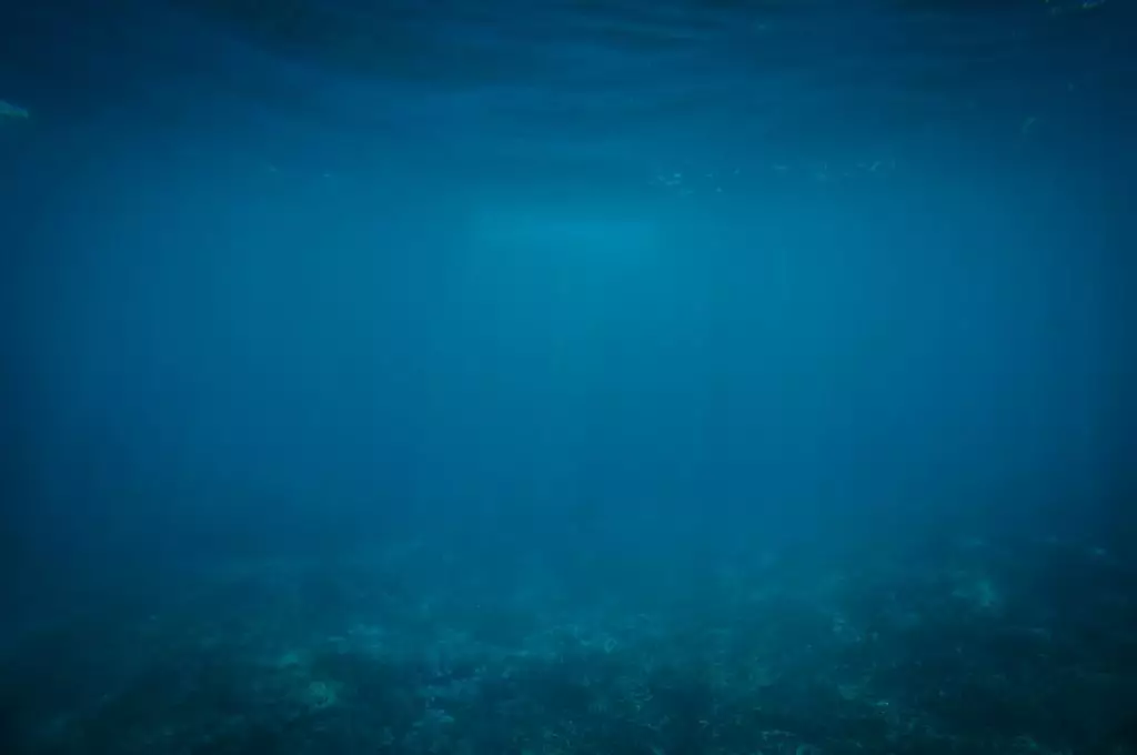 SwarmDiver