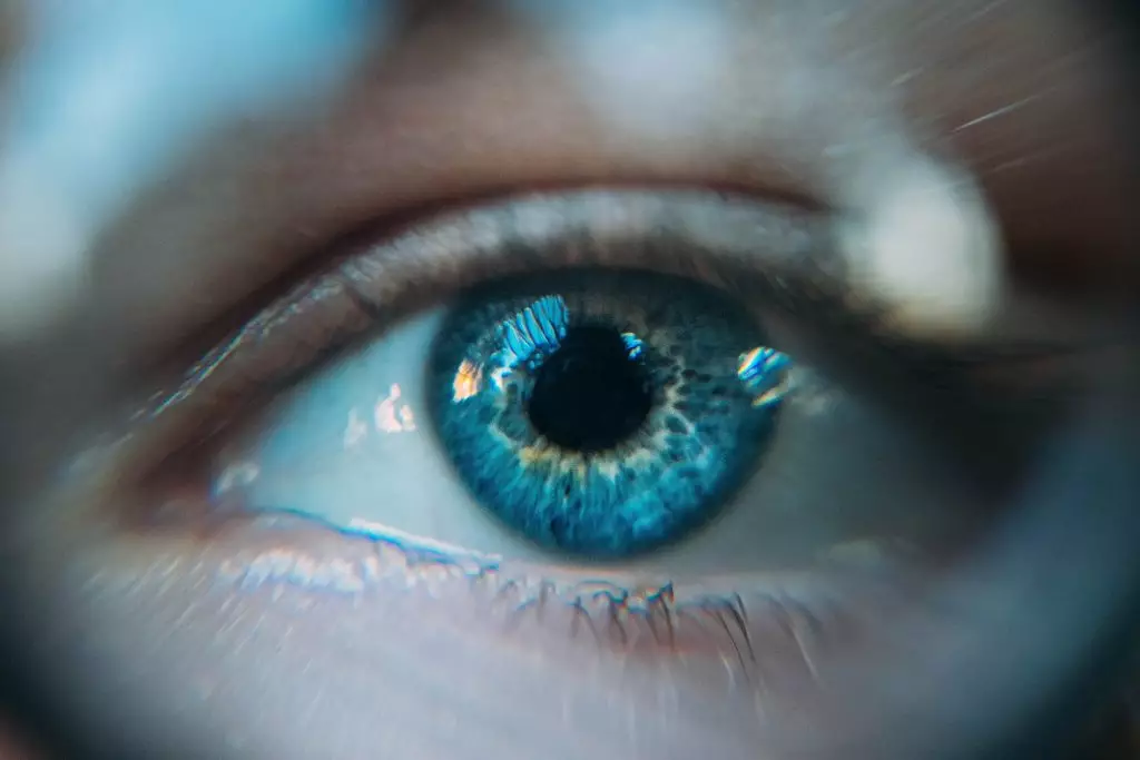 lentilles