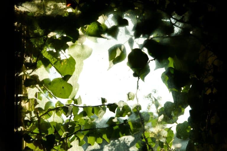 Des places de stationnement remplacées par des espaces verts personnels