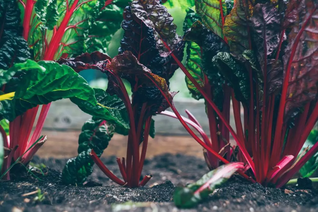 farmbot