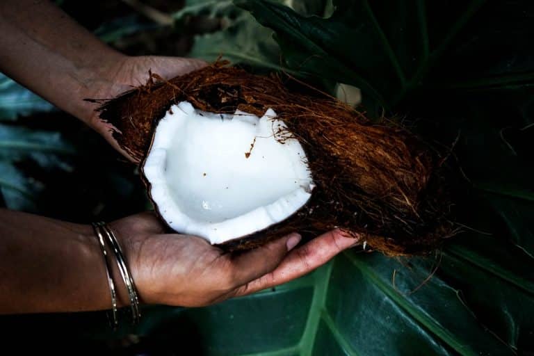 Nullarbor : une nouvelle fibre fabriquée à base de sous-produits de noix de coco