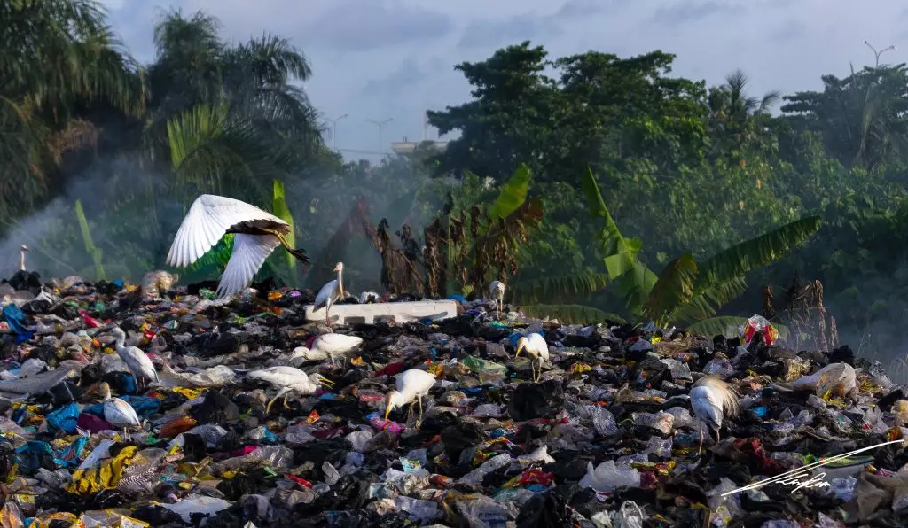 déchets