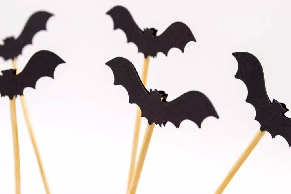 Pays-Bas : une ville met en place un éclairage de rue adapté aux chauves-souris chauves-souris