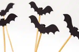Pays-Bas : une ville met en place un éclairage de rue adapté aux chauves-souris chauves-souris