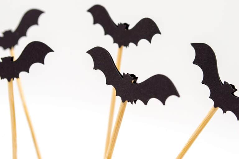 Pays-Bas : une ville met en place un éclairage de rue adapté aux chauves-souris