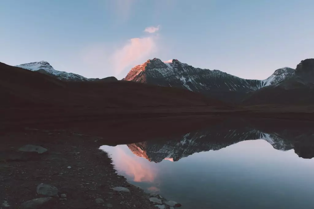 augmented nature