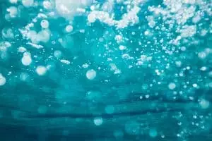 BionicFinWave