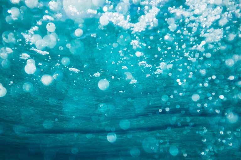 BionicFinWave : un robot sous-marin imprimé en 3D se propulse avec des ailettes ondulées