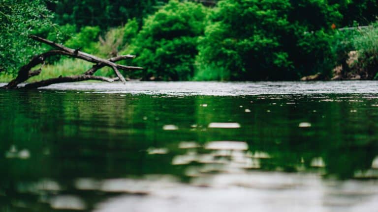 Drifter : un dispositif flottant surveille les risques d&rsquo;innondation