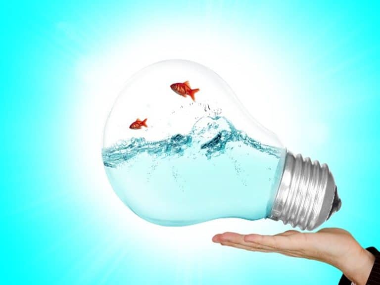 Les différentes tendances en matière d’innovation dans le secteur de la santé en 2019