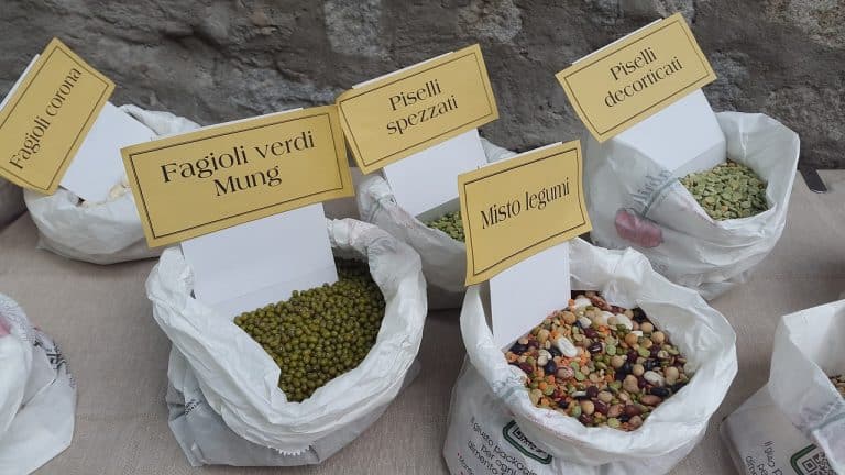 Gulf Food 2019 met l’accent sur l’innovation technologique