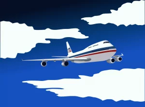 Des carburants à base de plantes, une alternative révolutionnaire pour faire voler les avions