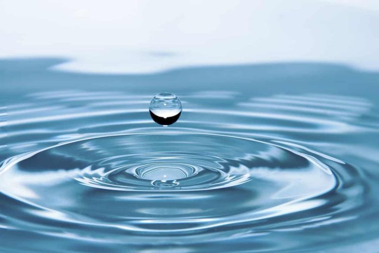 Capturer de l’eau douce en se basant sur les toiles d’araignée