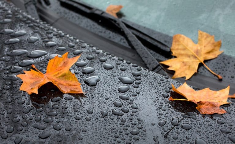 Comment entretenir le tapis de sa voiture ?