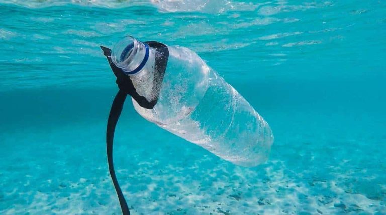 La bouteille en plastique est l’un des déchets les plus polluants de la planète