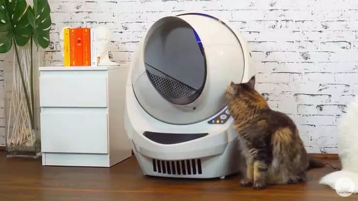 Finie la corvée avec cette litière pour chat autonettoyante ! Finie la corvée avec cette litière pour chat autonettoyante !
