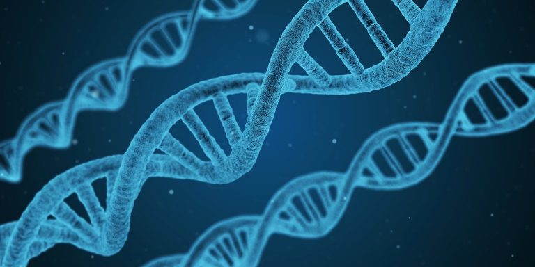 L&rsquo;avenir des bébés OGM chinois est incertain