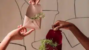 Des portefeuilles en peau de pommes ! Des portefeuilles en peau de pommes