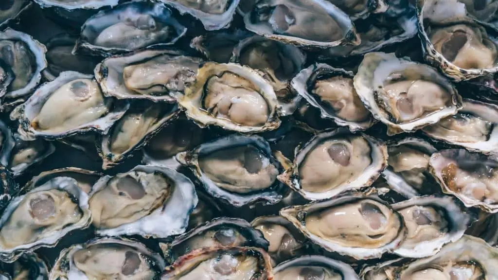 Des semelles de chaussures avec des coquilles d’huîtres es semelles de chaussures avec des coquilles d’huîtres