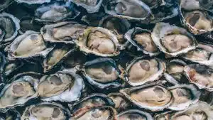 es semelles de chaussures avec des coquilles d’huîtres