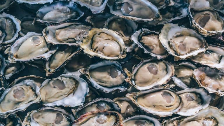 Des semelles de chaussures avec des coquilles d’huîtres