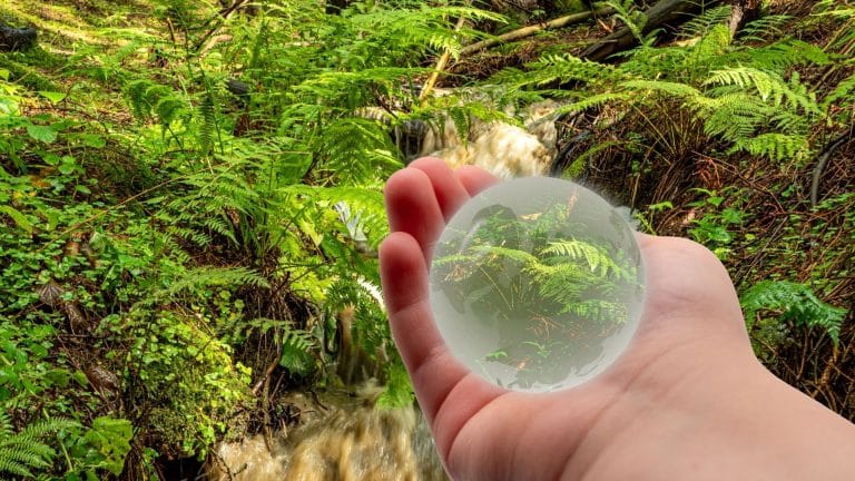 Biomimétisme : quand la biodiversité inspire les nouvelles technologies