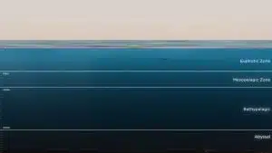 Cet engin récupère le métal dans le fond des océans Cet engin récupère le métal dans le fond des océans