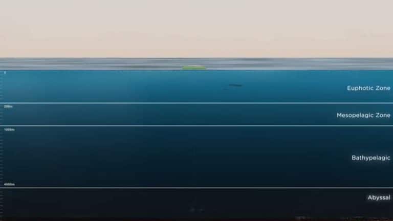 Cet engin récupère le métal dans le fond des océans