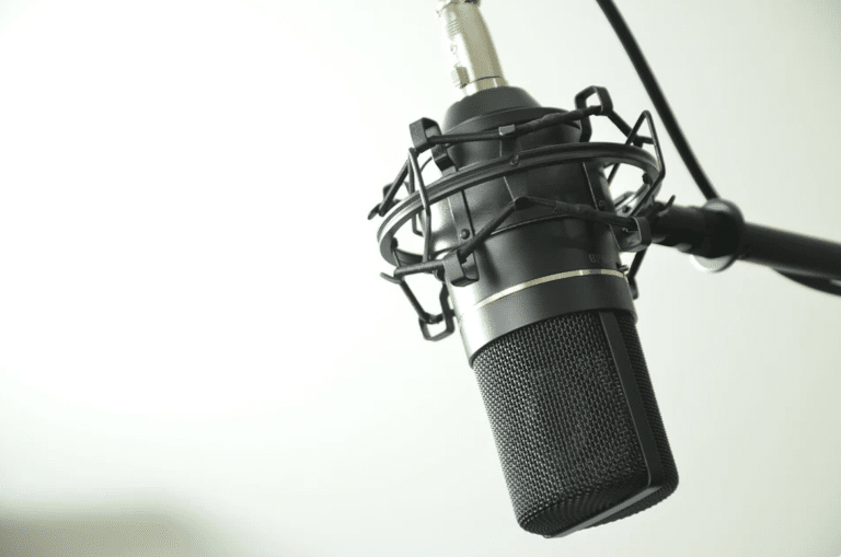 L’audio digital, un sujet incontournable cette année ?