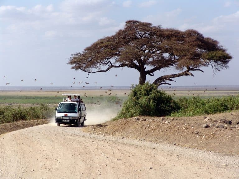Conseils aux voyageurs de retour du Kenya